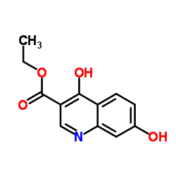 4,7-Dihydroxy-3-quinolinecarboxylic acid ethyl esterStructure,104047-30-5Structure 4,7-Dihydroxy-3-quinolinecarboxylic acid ethyl ester Structure,104047-30-5Structure