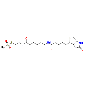 N-biotinylcaproylaminoethyl methanethiosulfonateStructure,353754-95-7Structure N-biotinylcaproylaminoethyl methanethiosulfonate Structure,353754-95-7Structure