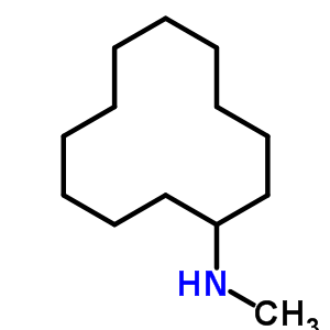 N-methyl cyclododecylamineStructure,40221-53-2Structure N-methyl cyclododecylamine Structure,40221-53-2Structure
