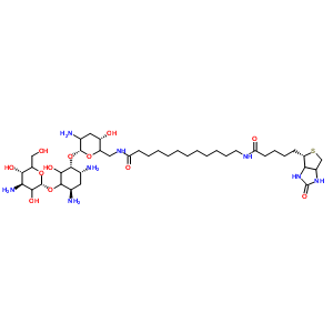 N-biotinyl-12-aminododecanoyltobramycin amideStructure,419573-20-9Structure N-biotinyl-12-aminododecanoyltobramycin amide Structure,419573-20-9Structure