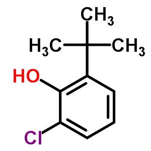 2-Tert-butyl-6-chlorophenolStructure,4237-37-0Structure 2-Tert-butyl-6-chlorophenol Structure,4237-37-0Structure