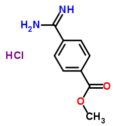 4-Amidinobenzoic acid methyl ester hydrochlorideStructure,42823-73-4Structure 4-Amidinobenzoic acid methyl ester hydrochloride Structure,42823-73-4Structure