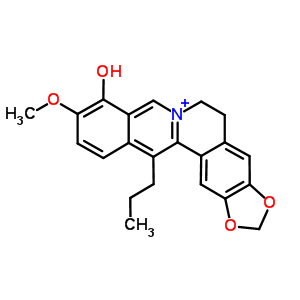13-PropylberberineStructure,53912-47-3Structure 13-Propylberberine Structure,53912-47-3Structure