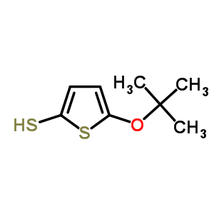 Thiophene-2-thiol,5-(1,1-dimethylethoxy)-Structure,54789-36-5Structure Thiophene-2-thiol,5-(1,1-dimethylethoxy)- Structure,54789-36-5Structure