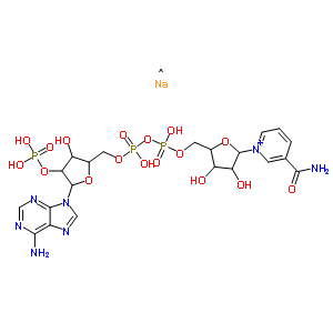 Β-煙酰胺腺嘌呤二核苷酸磷酸鈉鹽水合物結構式_698999-85-8結構式