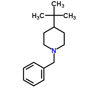 4-(1,1-二甲基乙基)-1-(苯基甲基)-哌啶結(jié)構(gòu)式_7576-09-2結(jié)構(gòu)式