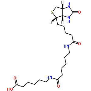 6-((6-((生物素基)氨基)己?；?氨基)己酸結(jié)構(gòu)式_89889-51-0結(jié)構(gòu)式
